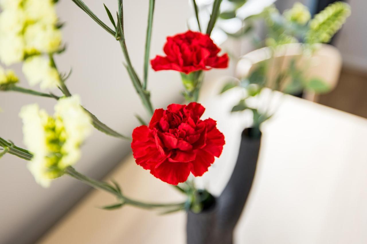 Mornington Crescent Appartement Londres
